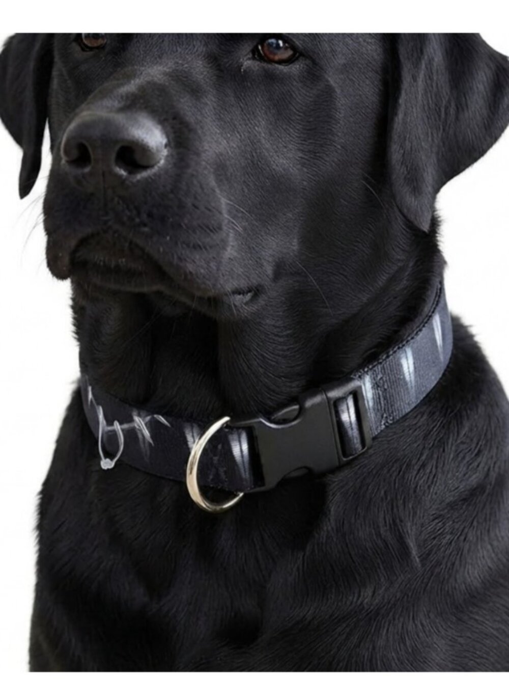 Buckle Down Marvel Black Panther Tooth Necklace Dog Collar Large 15-26 in NWT